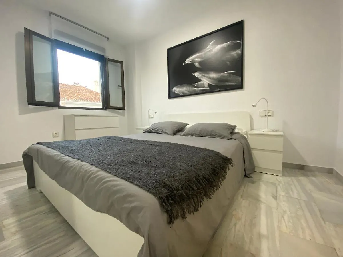 Beach & Puerto Banus Marbella Penthouse アパート